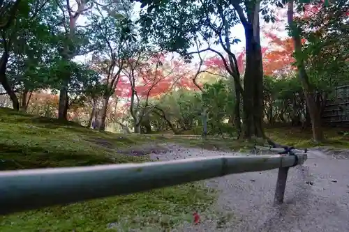 興福寺の庭園