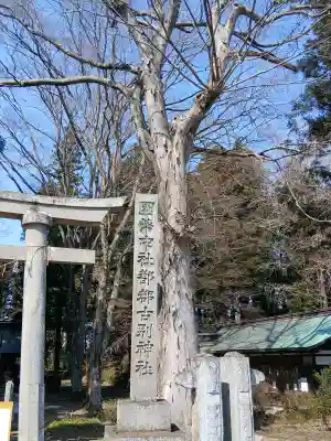 都々古別神社(八槻)の{uncategorized: "未分類", other: "その他", undefined: "問題あり", building: "その他建物", grave: "お墓", sacred_gate: "鳥居", guardian: "狛犬", statue: "像", buddha: "仏像", history: "歴史", nature: "自然", garden: "庭園", animal: "動物", pagoda: "塔", temizu: "手水舎", mountain_gate: "山門・神門", sanctuary: "本殿・本堂", subordinate: "末社・摂社", art: "芸術", scenery: "景色", jizo: "地蔵", ema: "絵馬", goshuin: "御朱印", omikuji: "おみくじ", items: "授与品その他", amulet: "お守り", goshuincho: "御朱印帳", eats: "食事", festival: "お祭り", votive_dance: "神楽", shichigosan: "七五三参", wedding: "結婚式", experience: "体験その他", initially: "初詣", around: "周辺", anti_infection: "感染症対策"}