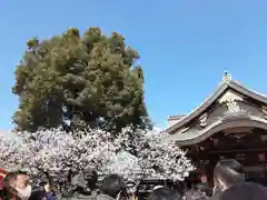 湯島天満宮(東京都)