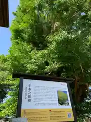 葛飾八幡宮の建物その他