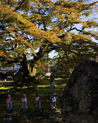 西善寺(埼玉県)