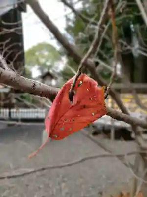 阿佐ヶ谷神明宮(東京都)