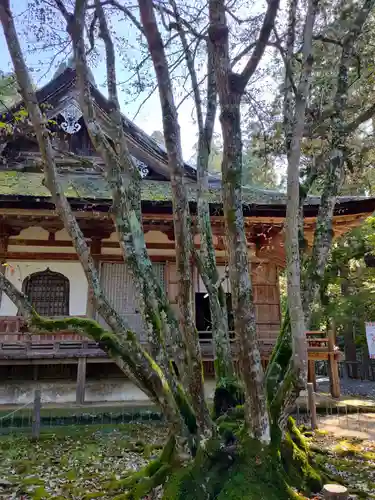 百済寺の本殿・本堂