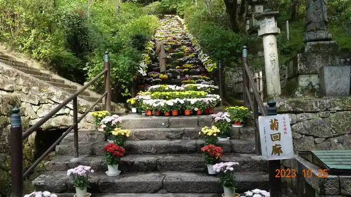 長谷寺(奈良県)