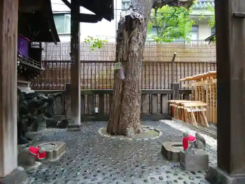 被官稲荷神社の自然