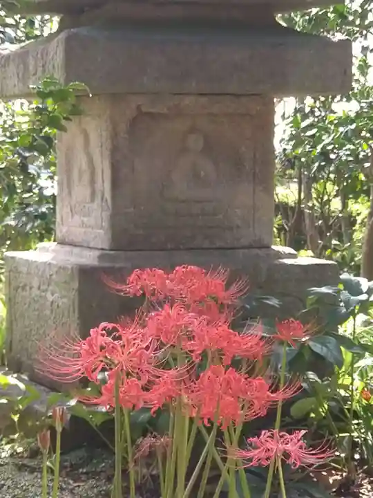 横浜 西方寺の自然