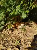 正泉寺(神奈川県)