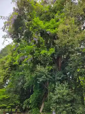 伊佐須美神社(福島県)