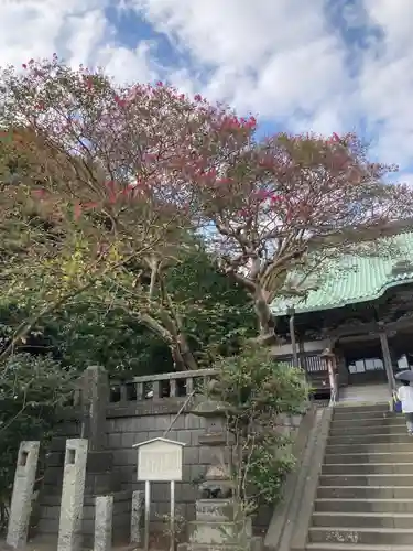 龍口寺のその他建物