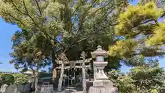 玉田神社(京都府)