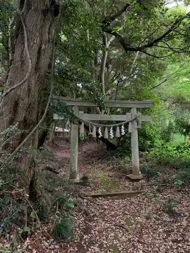 熊野神社の鳥居