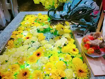 札幌諏訪神社の手水舎