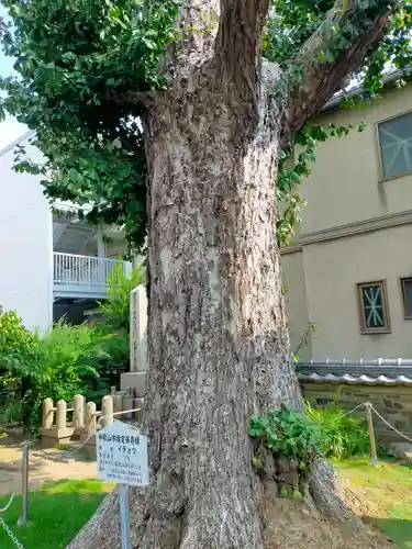 玄通寺(和歌山県)