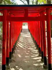 亀之森住吉神社の末社