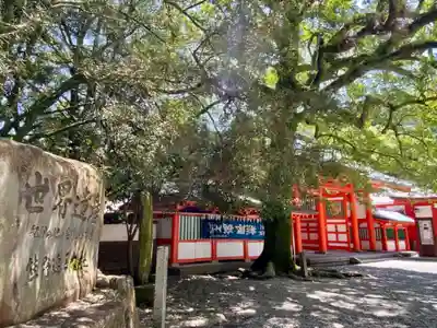 熊野速玉大社(和歌山県)