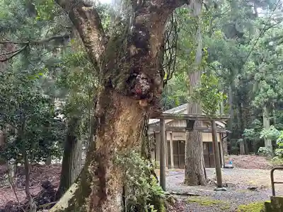 六社神社(福井県)