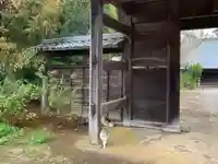 円天寺(千葉県)