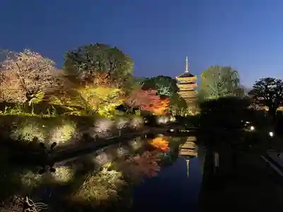 東寺（教王護国寺）(京都府)