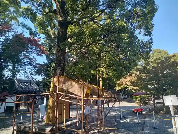 水無瀬神宮(大阪府)