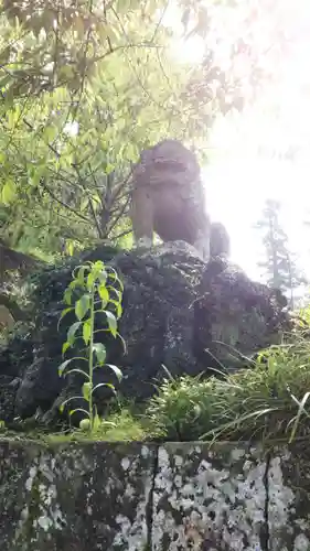 村山浅間神社の狛犬