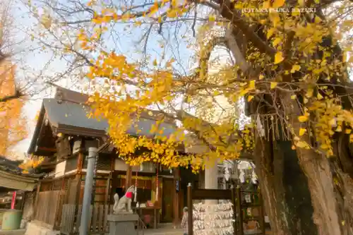 飛木稲荷神社(東京都)