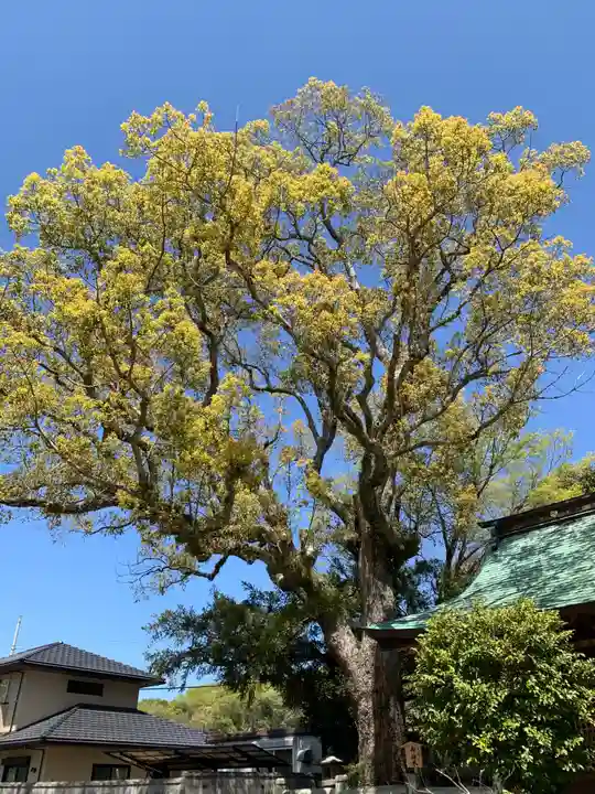 御坂神社の自然