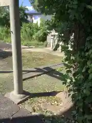 山神社の建物その他