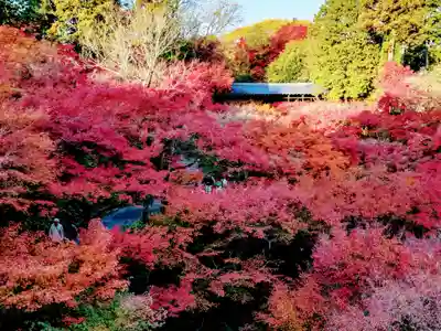 東福禅寺(東福寺)(京都府)