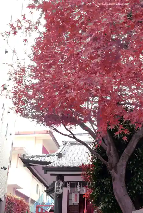 飯倉熊野神社(東京都)
