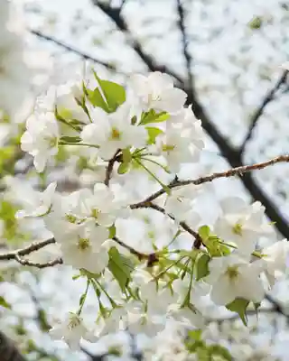 妙建山本立寺(東京都)