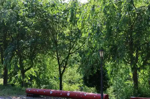 阿久津「田村神社」（郡山市阿久津町）旧社名：伊豆箱根三嶋三社の景色