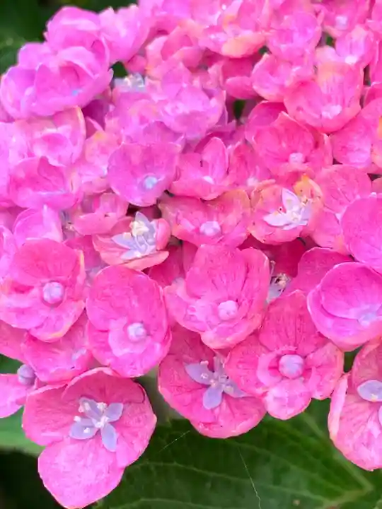 石都々古和気神社(福島県)