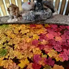 別小江神社の手水