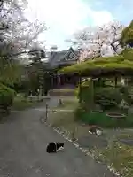 長照寺の動物