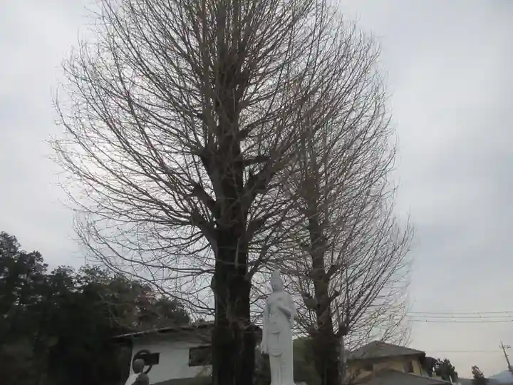 圓福寺(埼玉県)