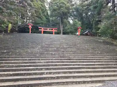 霧島神宮(鹿児島県)
