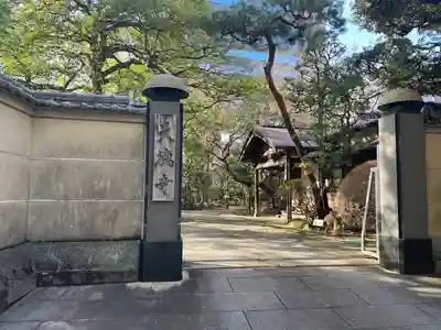天徳寺(東京都)