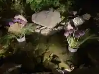 武蔵一宮氷川神社(埼玉県)