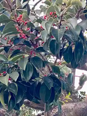 金札宮(京都府)