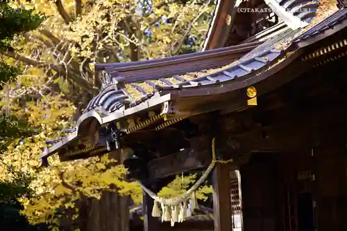 玉敷神社(埼玉県)