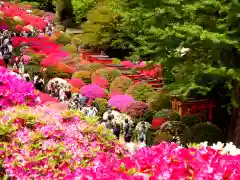 根津神社(東京都)