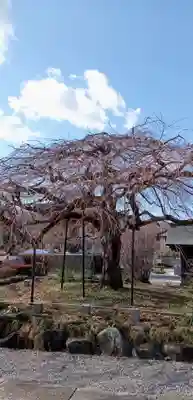 成就院(栃木県)