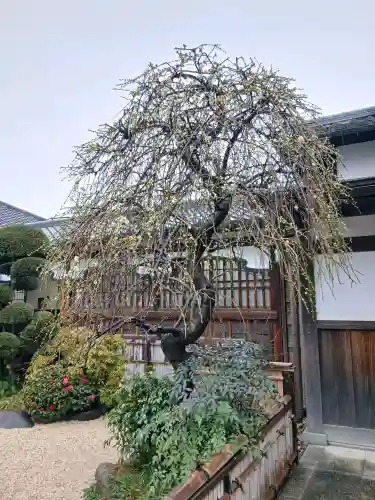 寛永寺(根本中堂)の{uncategorized: "未分類", other: "その他", undefined: "問題あり", building: "その他建物", grave: "お墓", sacred_gate: "鳥居", guardian: "狛犬", statue: "像", buddha: "仏像", history: "歴史", nature: "自然", garden: "庭園", animal: "動物", pagoda: "塔", temizu: "手水舎", mountain_gate: "山門・神門", sanctuary: "本殿・本堂", subordinate: "末社・摂社", art: "芸術", scenery: "景色", jizo: "地蔵", ema: "絵馬", goshuin: "御朱印", omikuji: "おみくじ", items: "授与品その他", amulet: "お守り", goshuincho: "御朱印帳", eats: "食事", festival: "お祭り", votive_dance: "神楽", shichigosan: "七五三参", wedding: "結婚式", experience: "体験その他", initially: "初詣", around: "周辺", anti_infection: "感染症対策"}