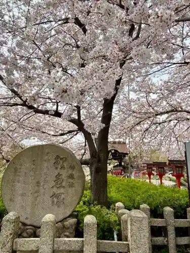 六孫王神社の自然