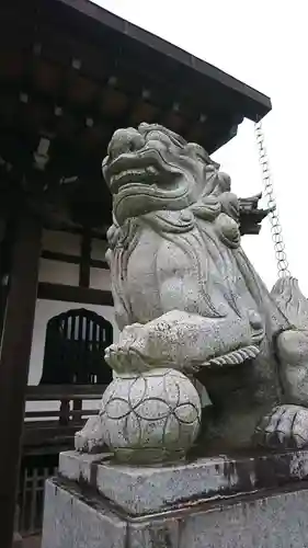 大経寺の狛犬