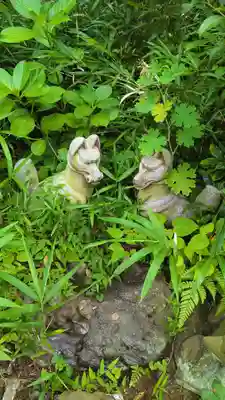 白金氷川神社の狛犬