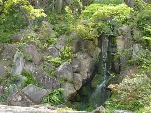 妙蓮寺の庭園