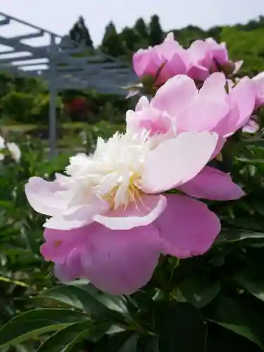 金蛇水神社(宮城県)