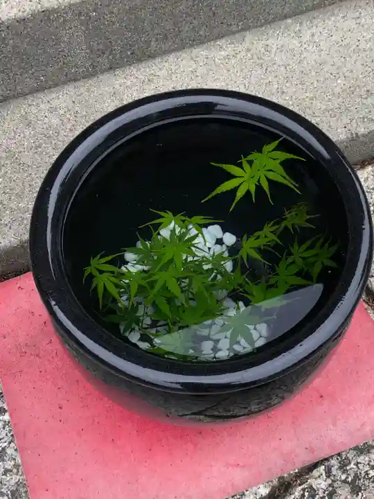 徳島眉山天神社の手水舎