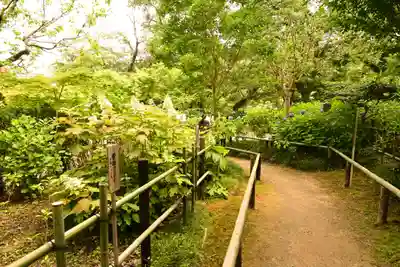 矢田寺(奈良県)